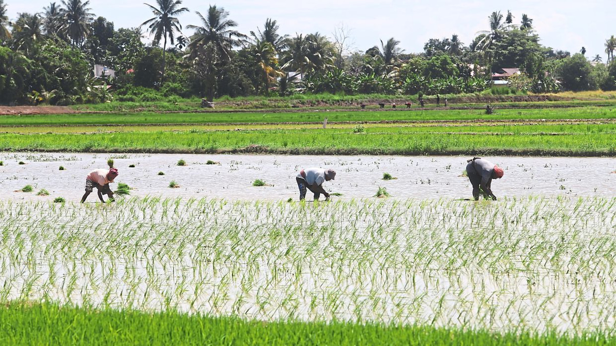 Malaysia Shields Food Prices From Middle East Turbulence Through Strategic Subsidies and Long-Term Productivity Plans